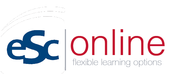 Interface do ESC Online