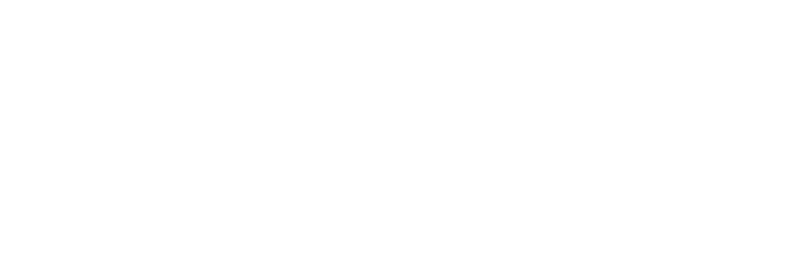Virtual Virginia