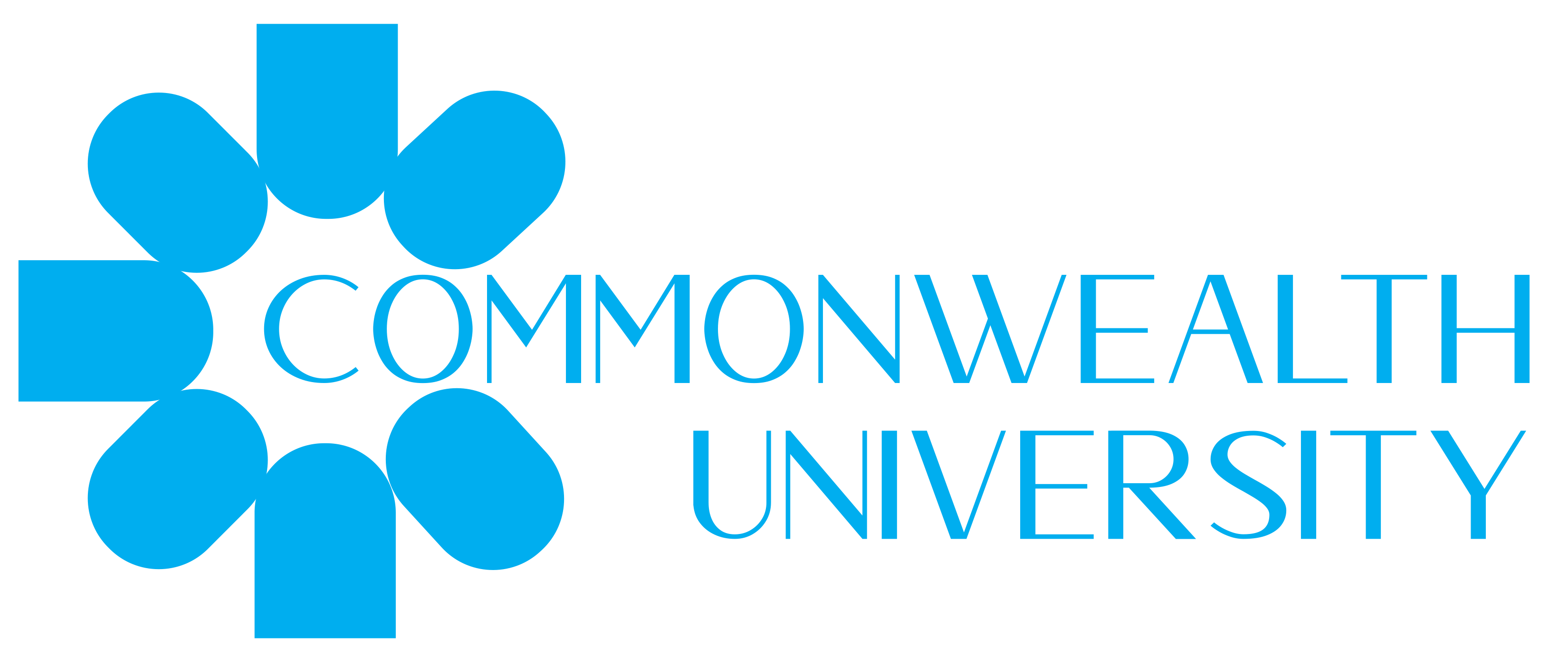 Commonwealth University