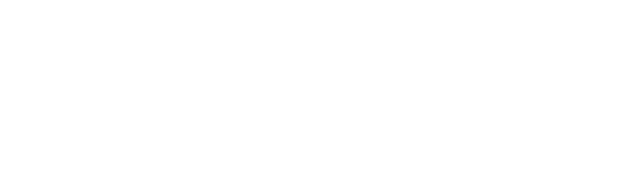 The Village School