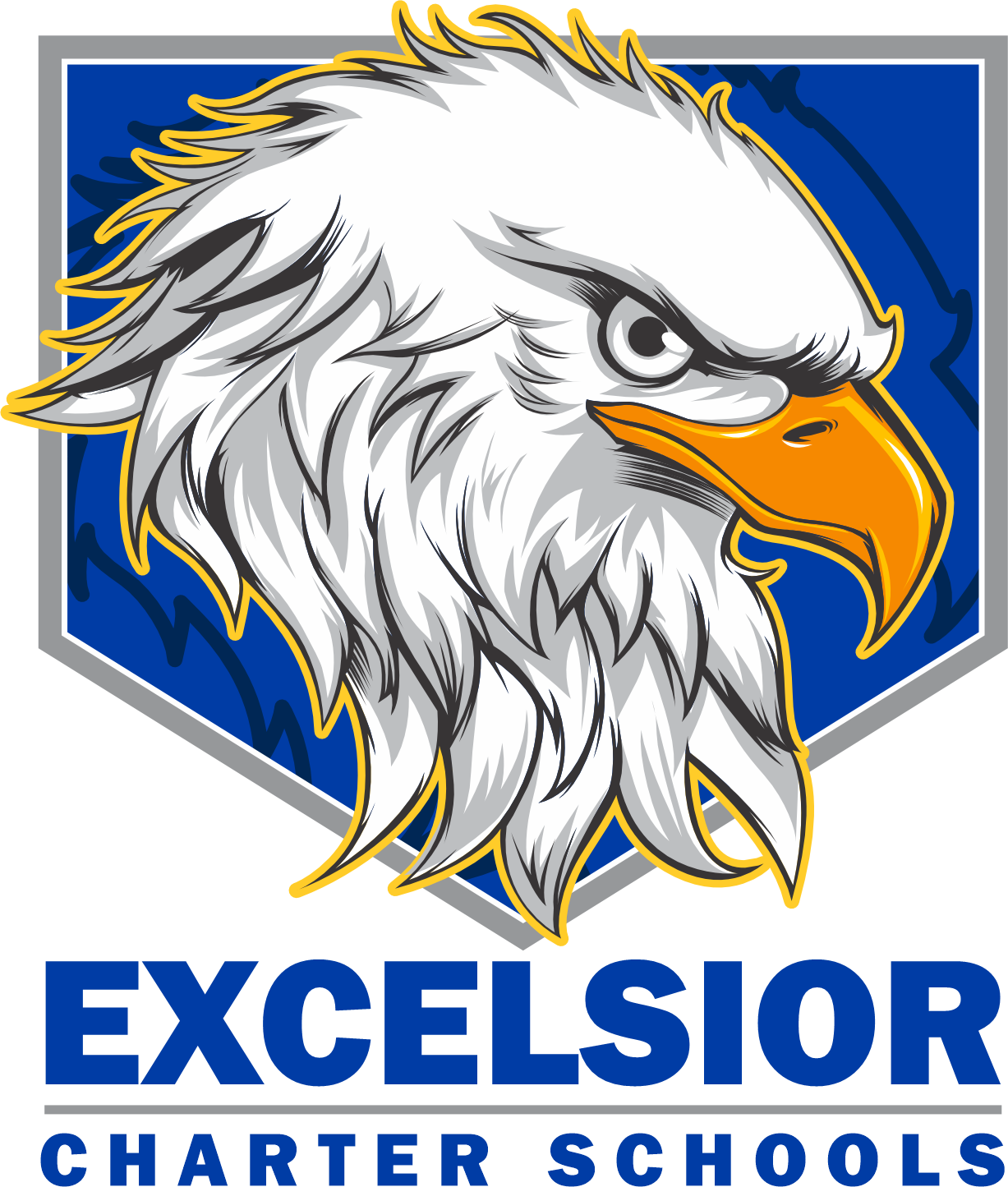 Excelsior Charter Schools